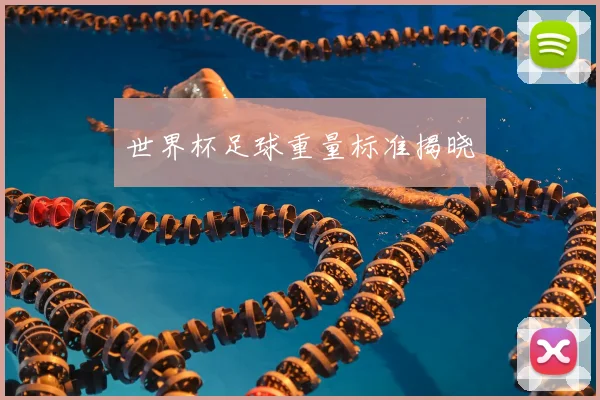 世界杯足球重量标准揭晓