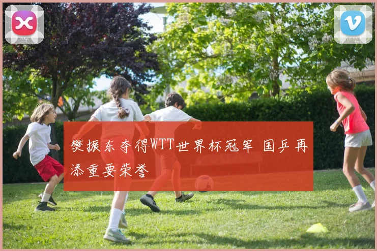 樊振东夺得WTT世界杯冠军 国乒再添重要荣誉