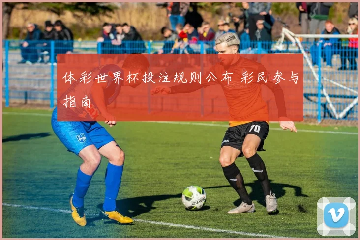 体彩世界杯投注规则公布 彩民参与指南