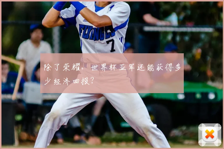 除了荣耀,世界杯亚军还能获得多少经济回报?