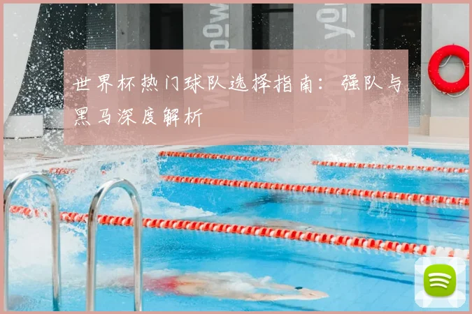 世界杯热门球队选择指南：强队与黑马深度解析