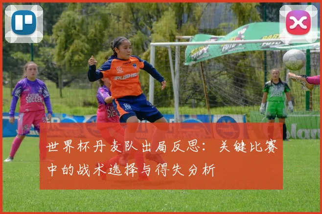 世界杯丹麦队出局反思：关键比赛中的战术选择与得失分析