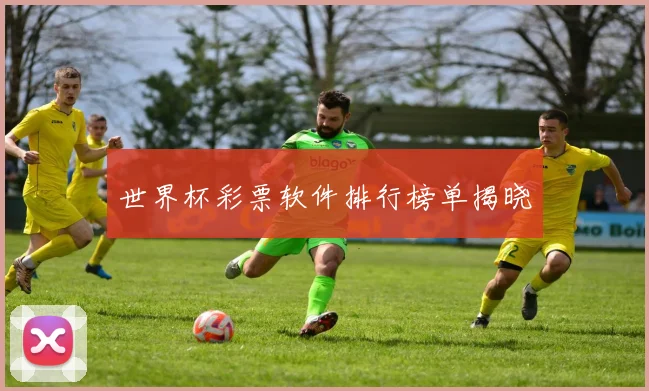 世界杯彩票软件排行榜单揭晓