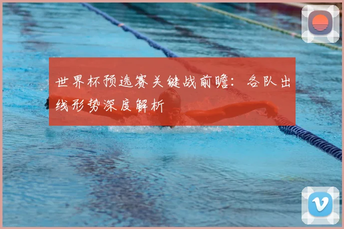 世界杯预选赛关键战前瞻：各队出线形势深度解析