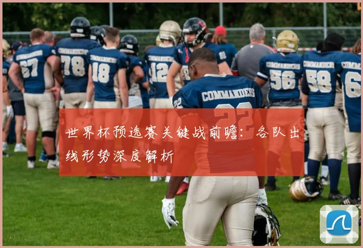 世界杯预选赛关键战前瞻：各队出线形势深度解析