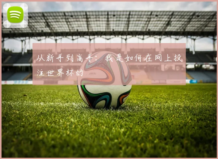 从新手到高手：我是如何在网上投注世界杯的