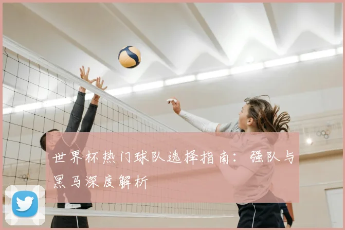 世界杯热门球队选择指南：强队与黑马深度解析