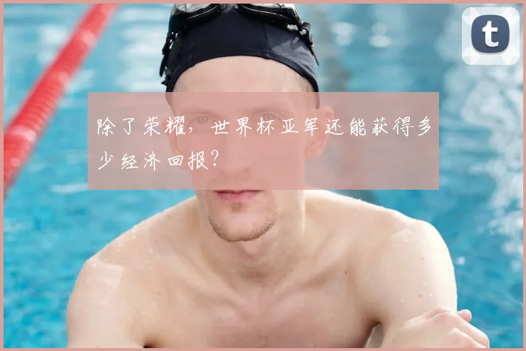 除了荣耀,世界杯亚军还能获得多少经济回报?