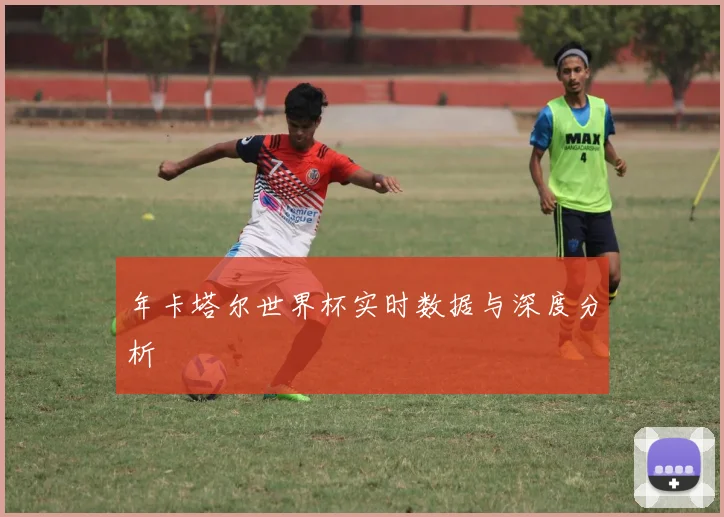 年卡塔尔世界杯实时数据与深度分析