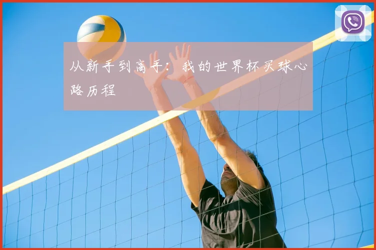 从新手到高手：我的世界杯买球心路历程